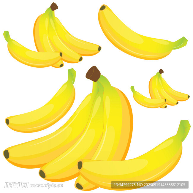 香蕉插画
