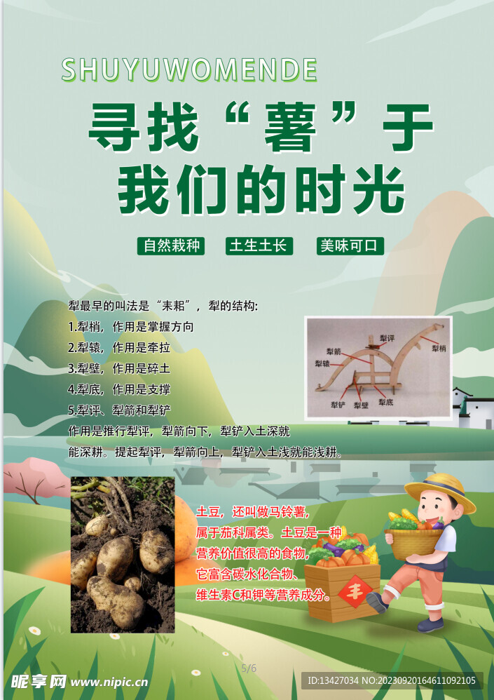 新鲜土豆马铃薯蔬菜海报 