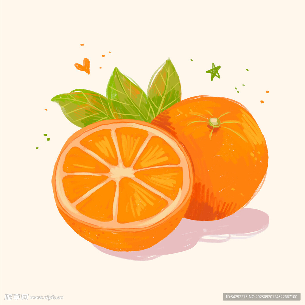橙子插画