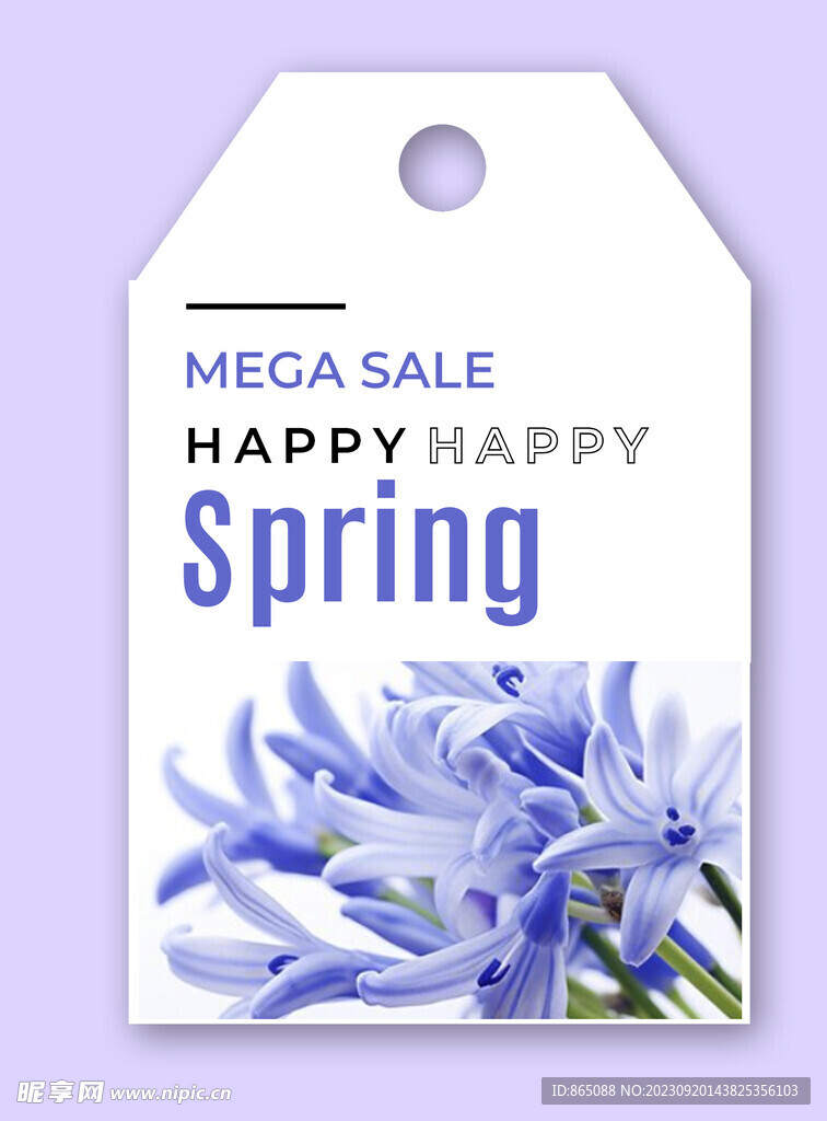 风信子 香薰 精油  蓝色花朵