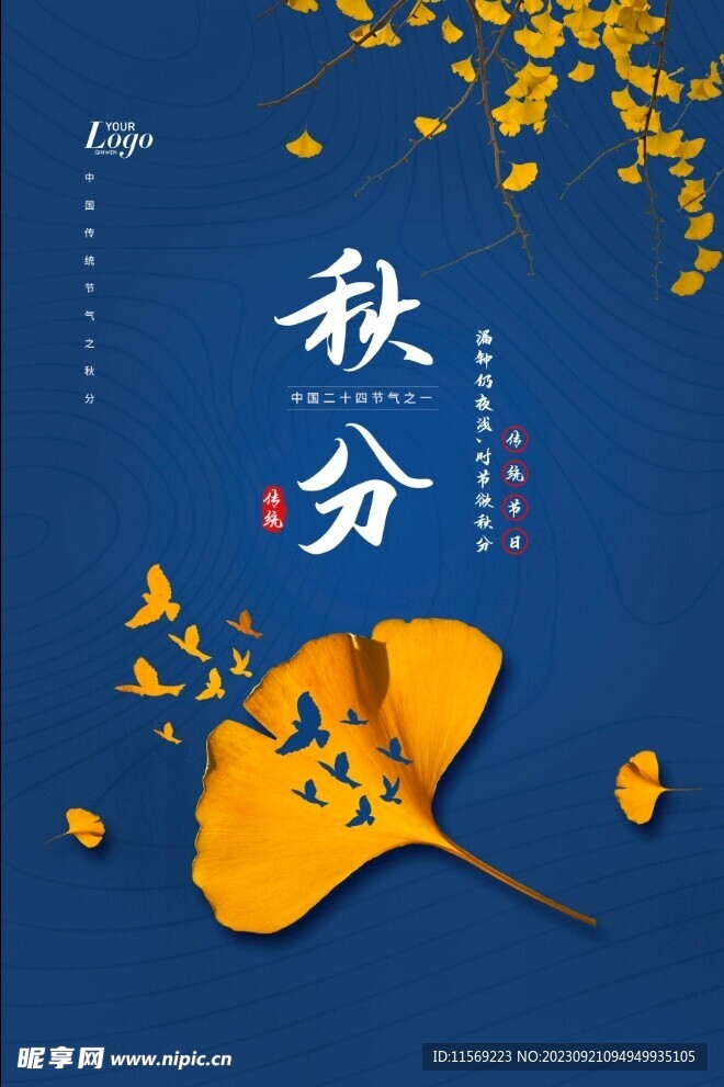 二十四节气秋季秋分海报