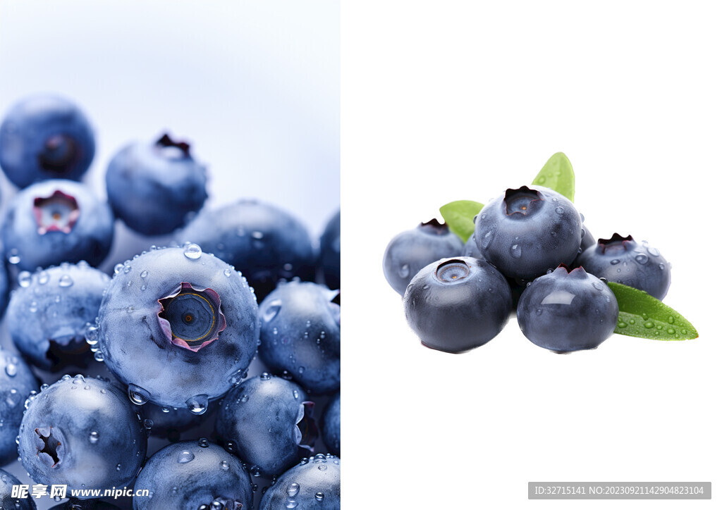 真实蓝莓照片