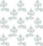 艾草  草本线稿