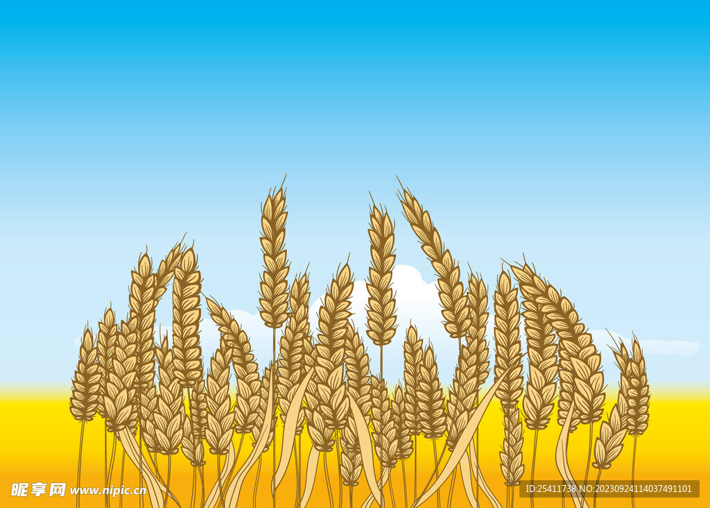 麦穗矢量
