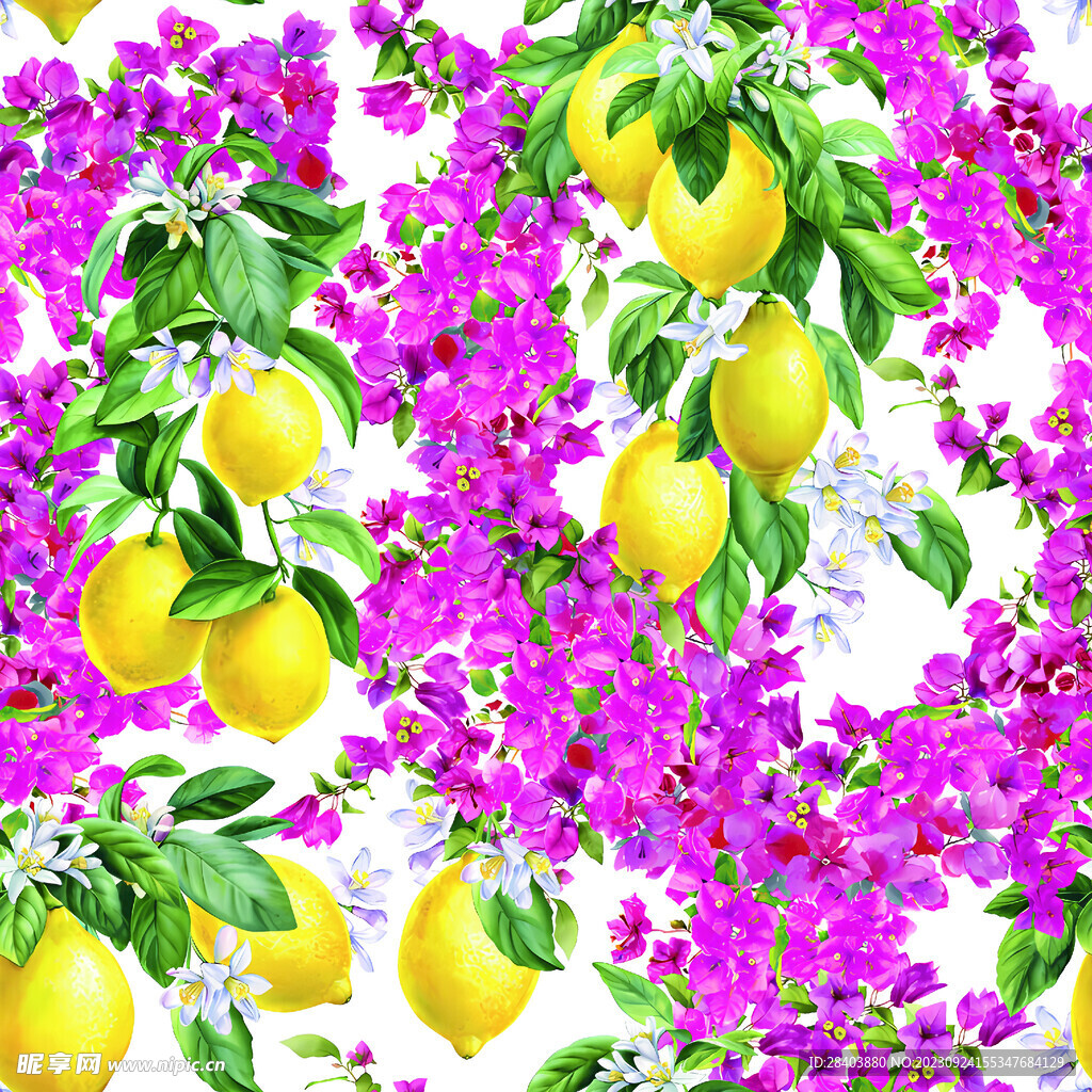 大牌  方巾  数码印花  