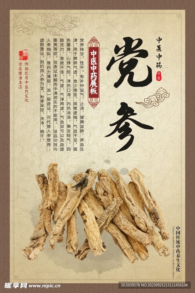 党参 中医中药材