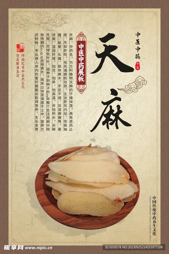 天麻 中医中药材