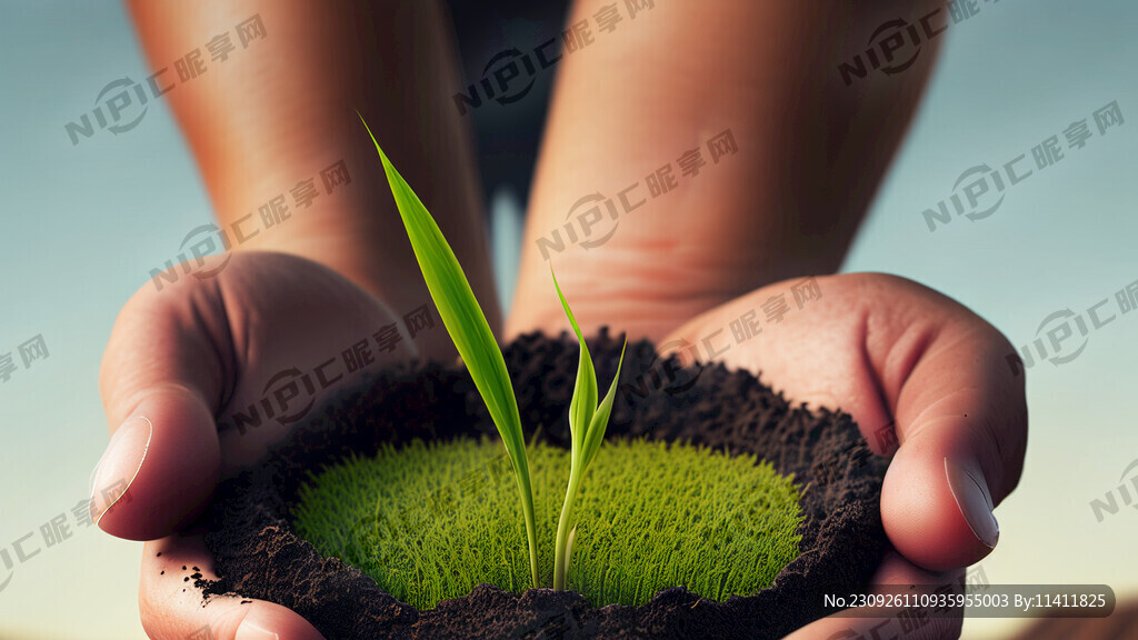 手捧土里面有一个小稻苗发芽稻苗