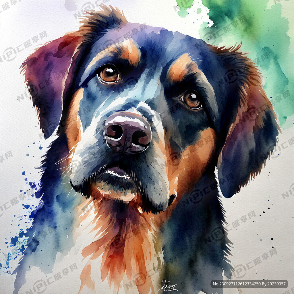 水彩狗