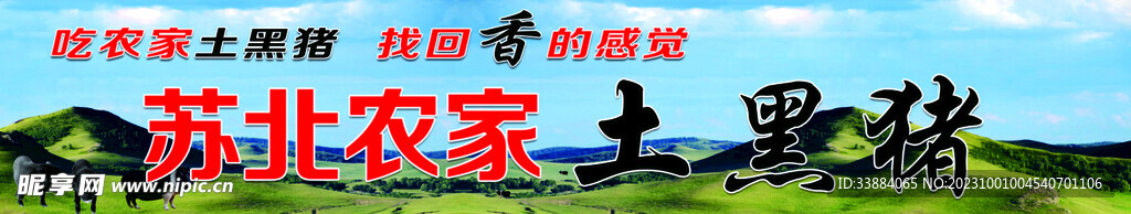 苏北农家土黑猪