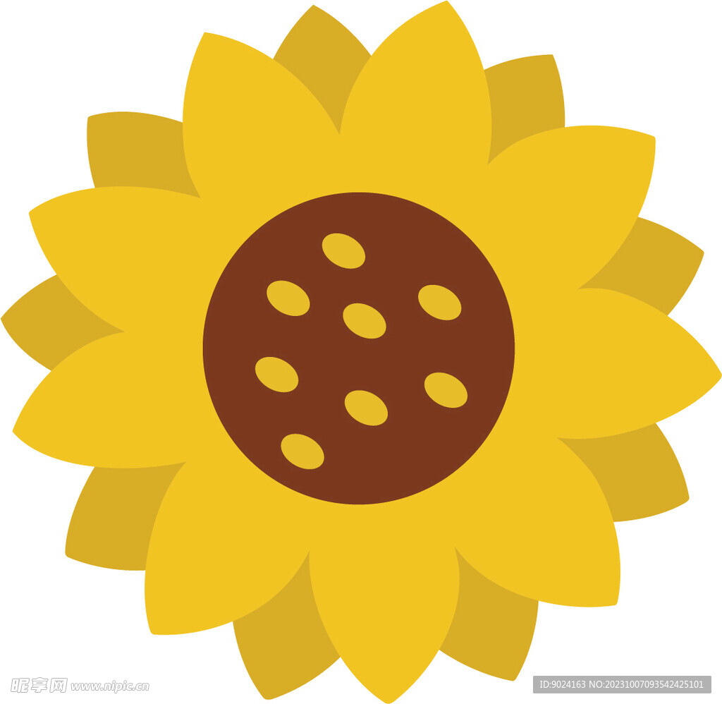 向日葵 花 太阳花