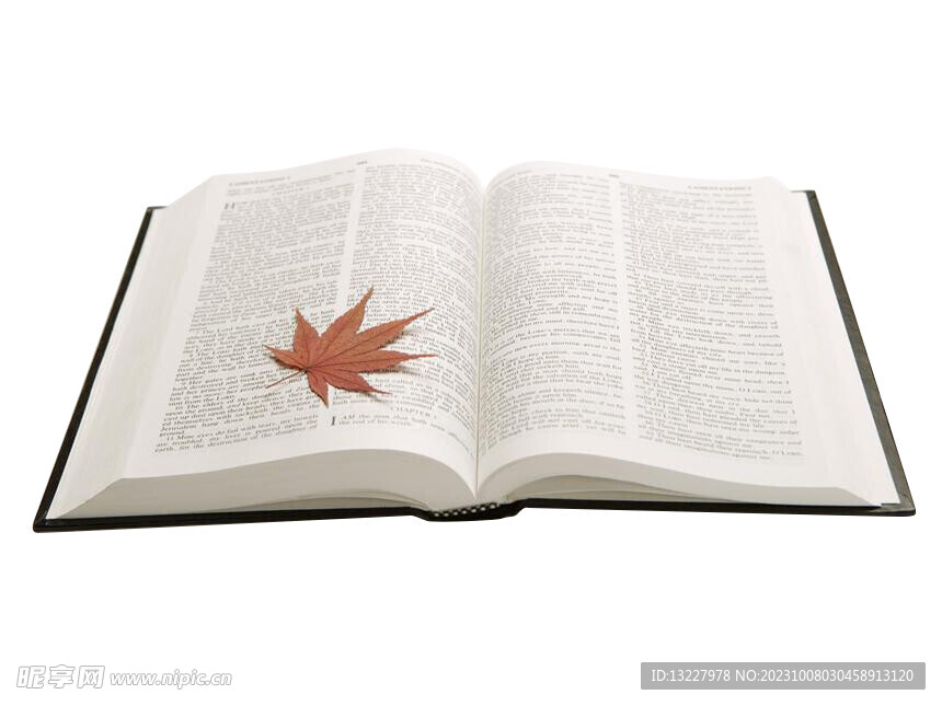 翻开的书