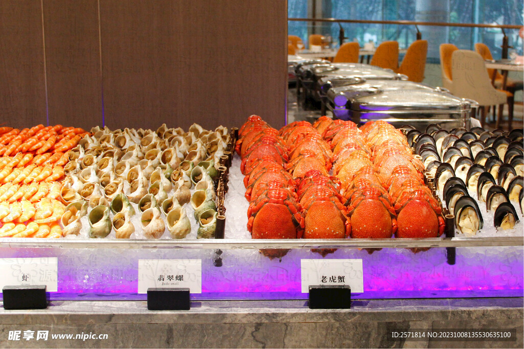 老虎蟹青口贝青螺