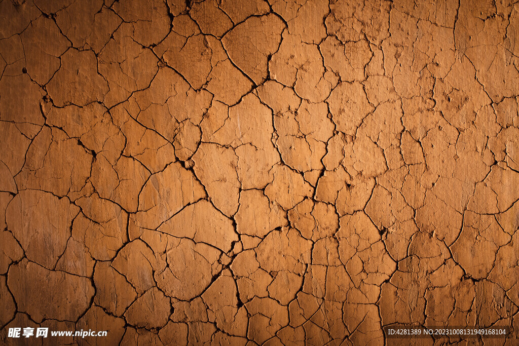 干旱季节干土的裂缝