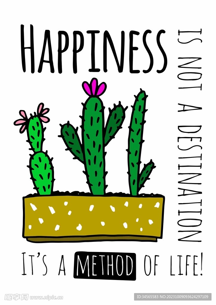 仙人掌 阳台植物