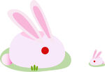 小兔子
