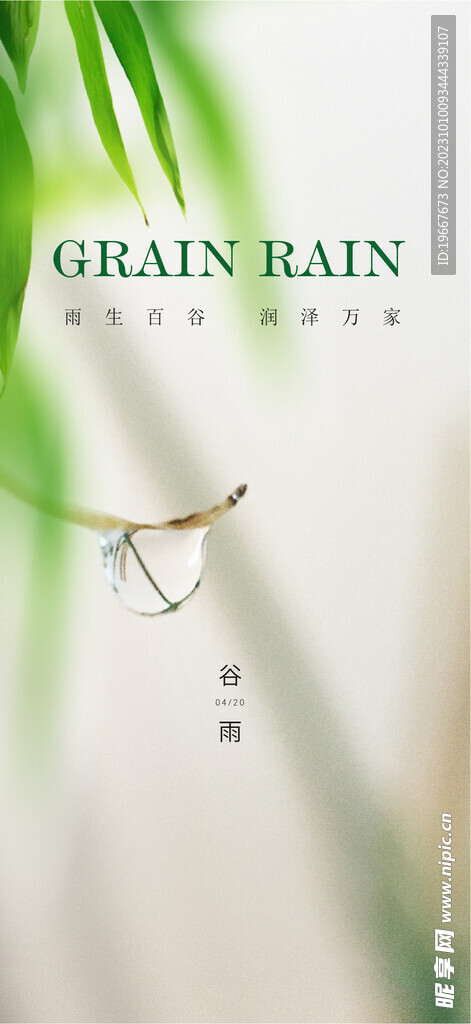 谷雨海报 