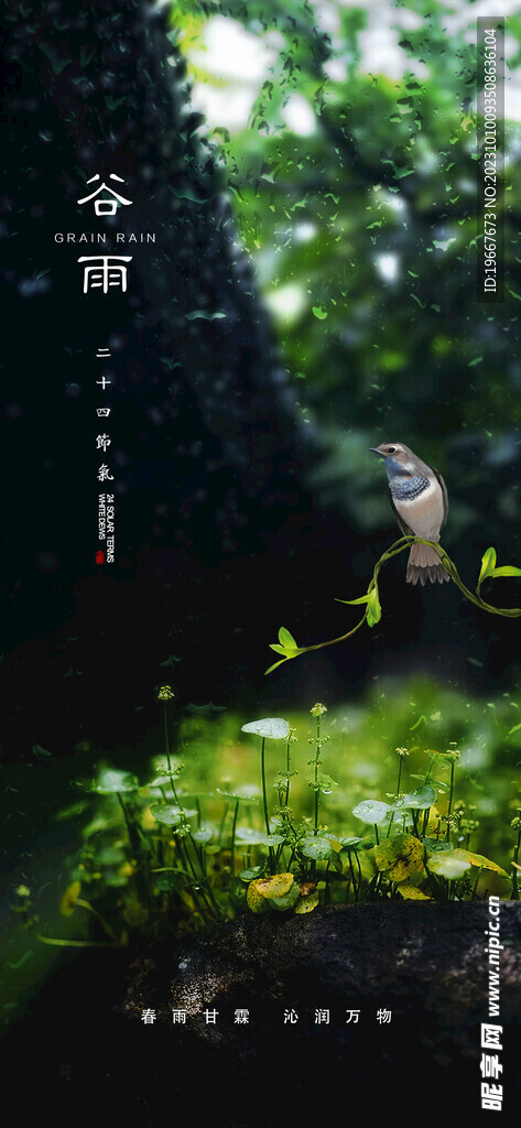 谷雨海报  