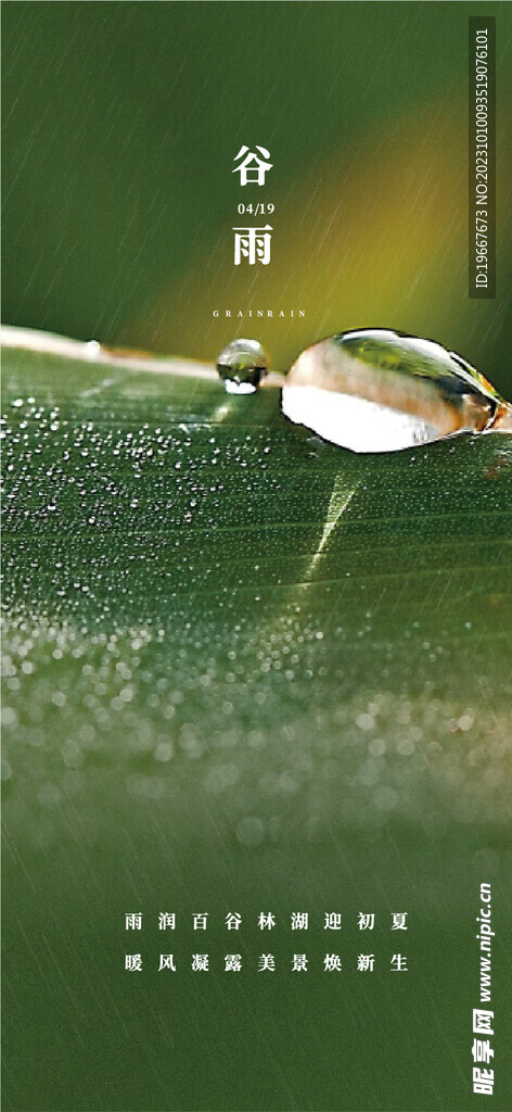 谷雨海报  