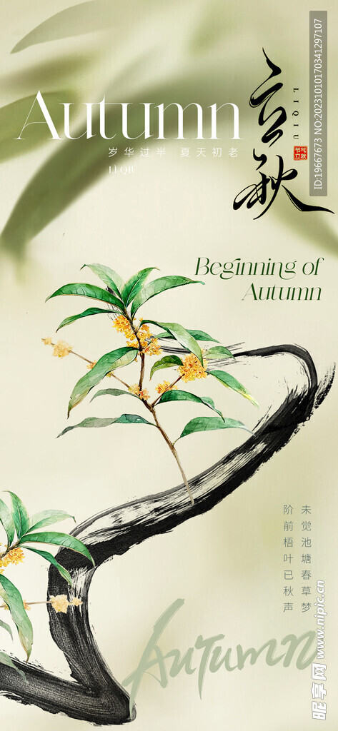  立秋海报  