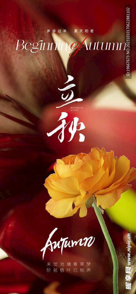  立秋海报  