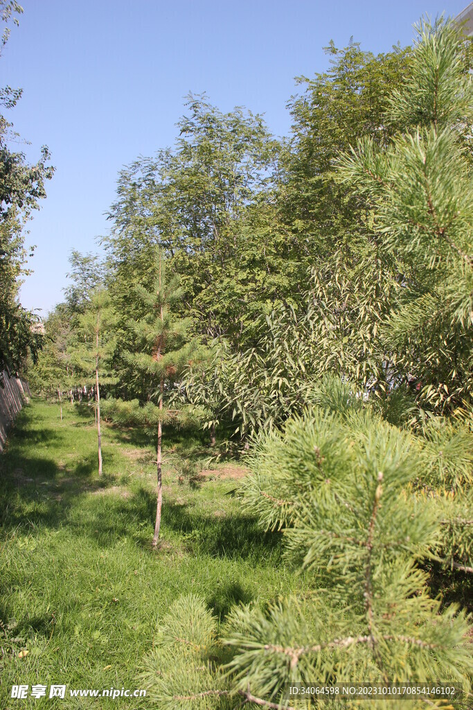 兰州北山小树林