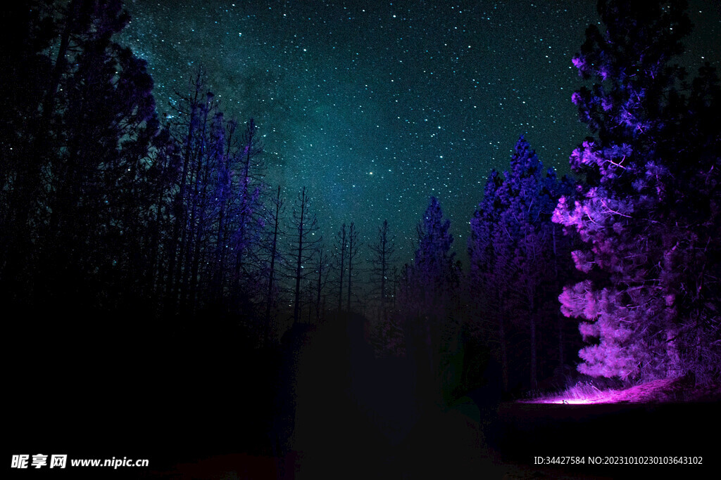 树林和星空