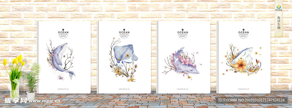 海洋生物 封面设计