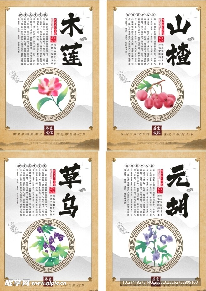 秋养肺春夏秋冬四季养生中医海报