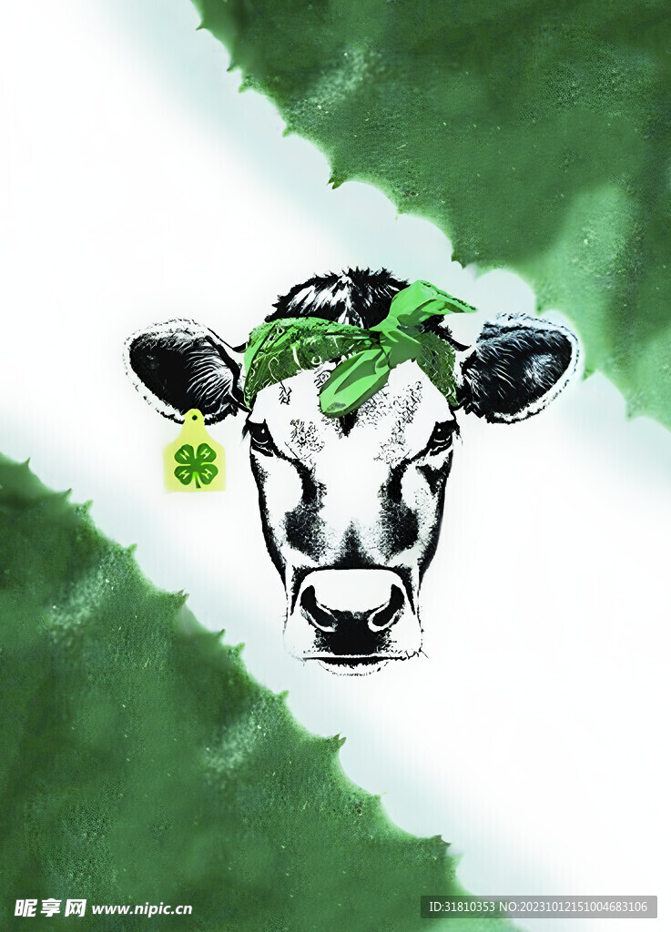 定位花   奶牛  大牌 