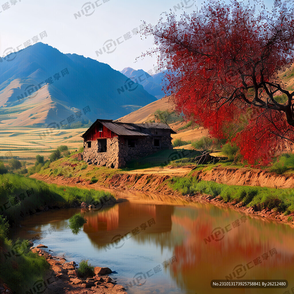 黄土高原上漫山遍野的苹果树映衬