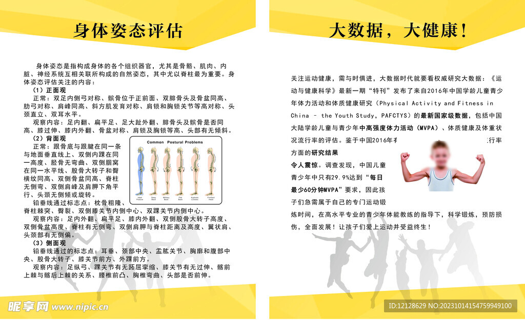 体能馆 身体姿态评估 制度牌