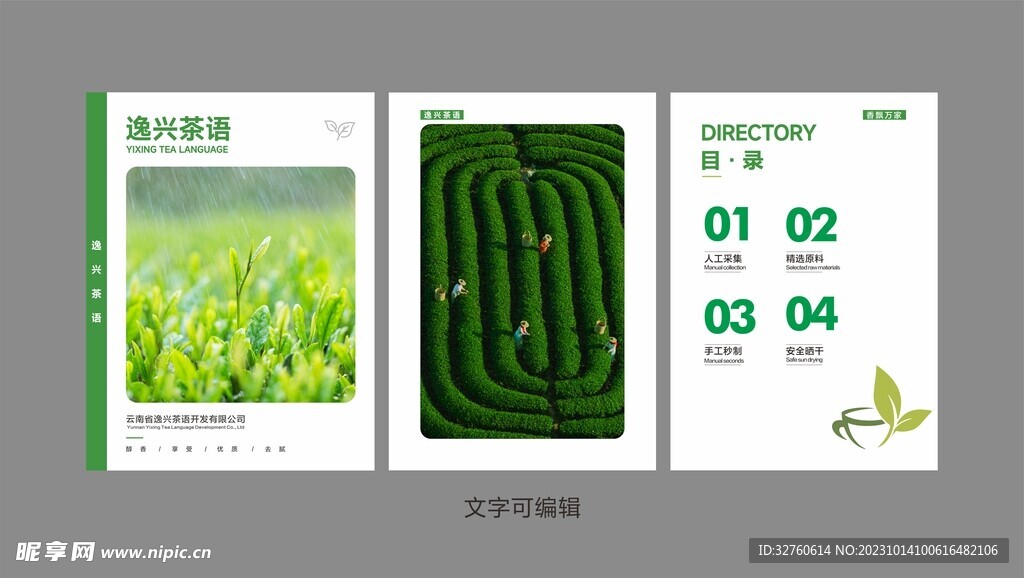 茶叶画册 模板设计 排版