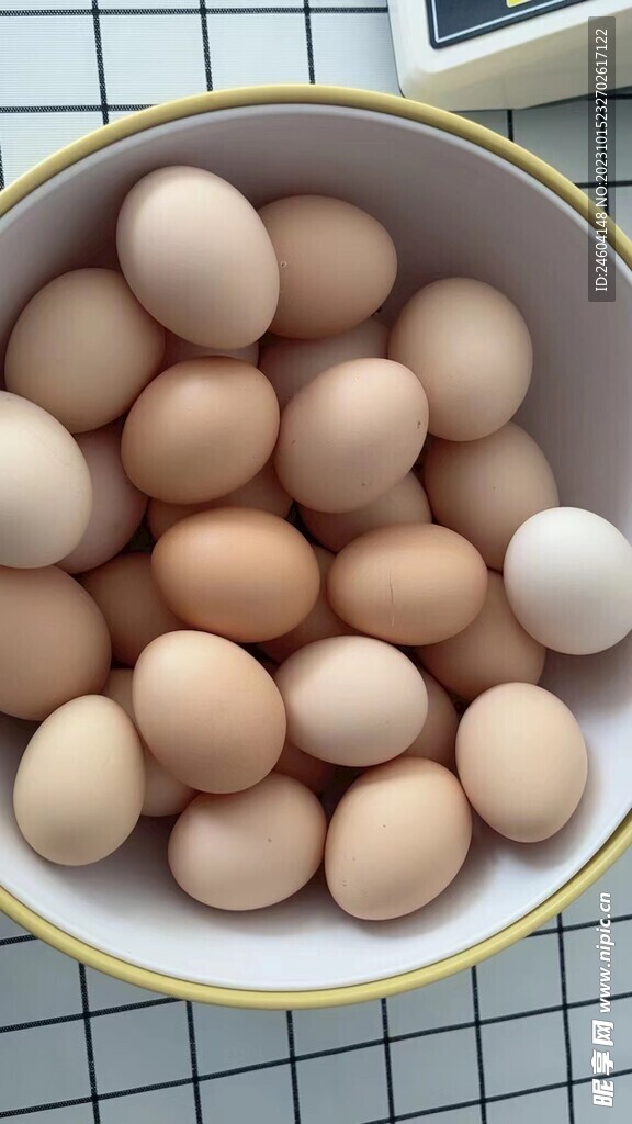 鸡蛋