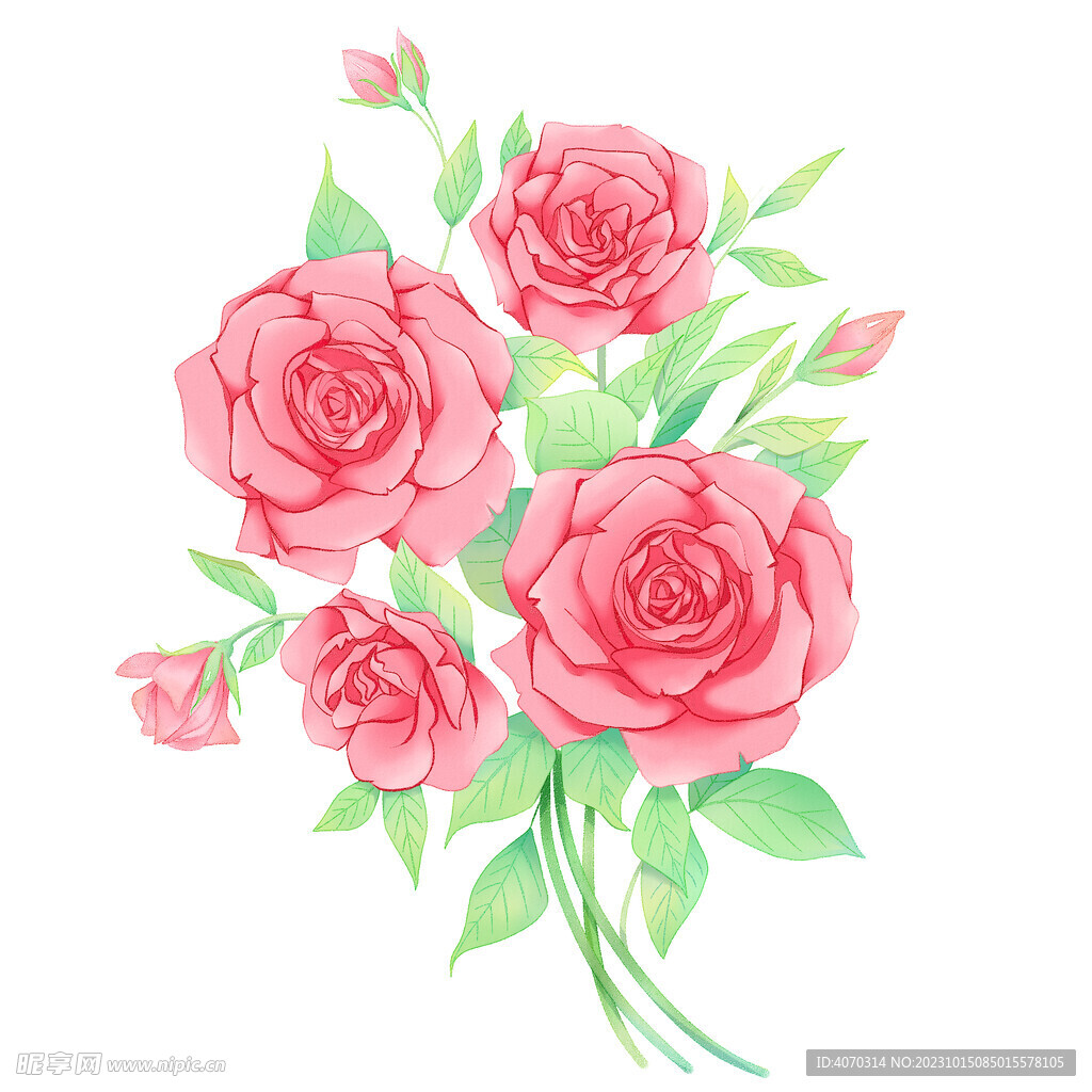 水彩风手绘大束玫瑰花矢量图