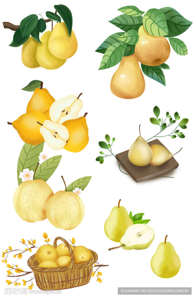 梨子插图元素大合集