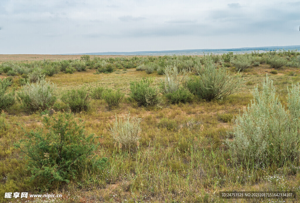 陕北草原