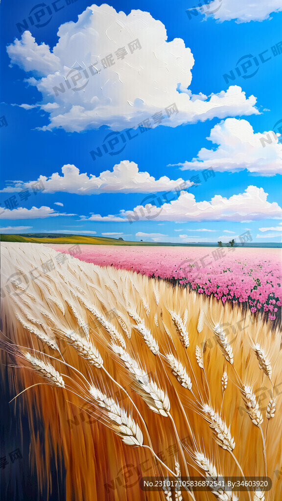 蓝天 白云 麦穗 大麦 粉色花