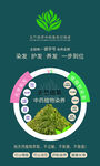 天竺佰草中草药养发展板海报 