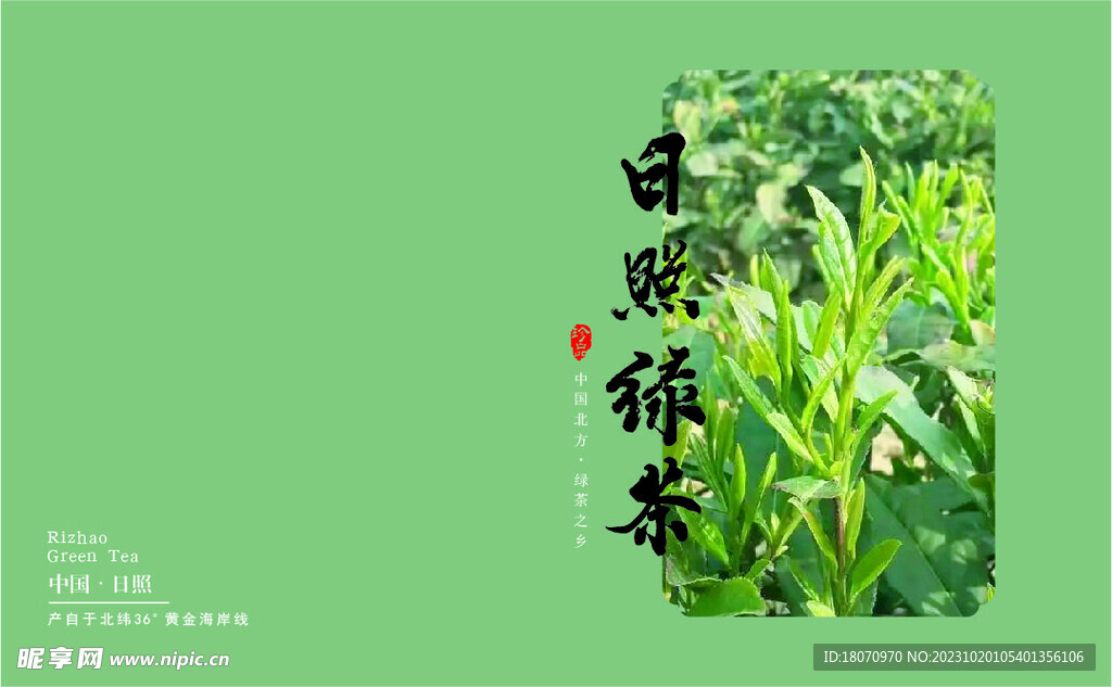 日照绿茶礼盒设计