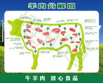 牛肉分解图