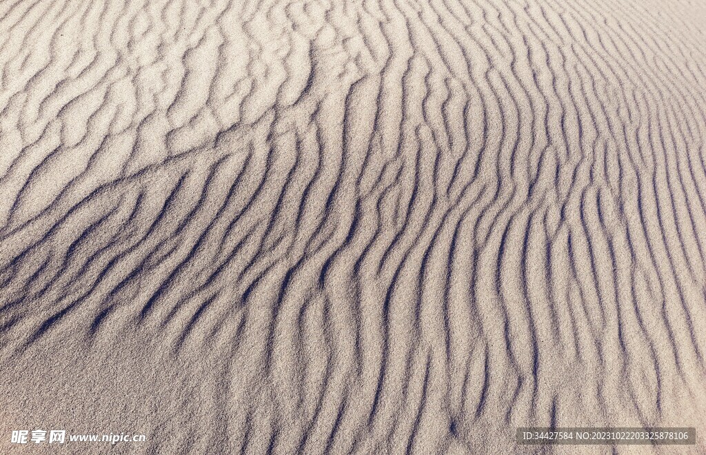 沙丘纹路