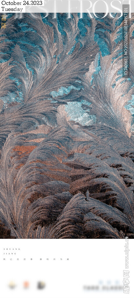 传统 二十四节气 霜降