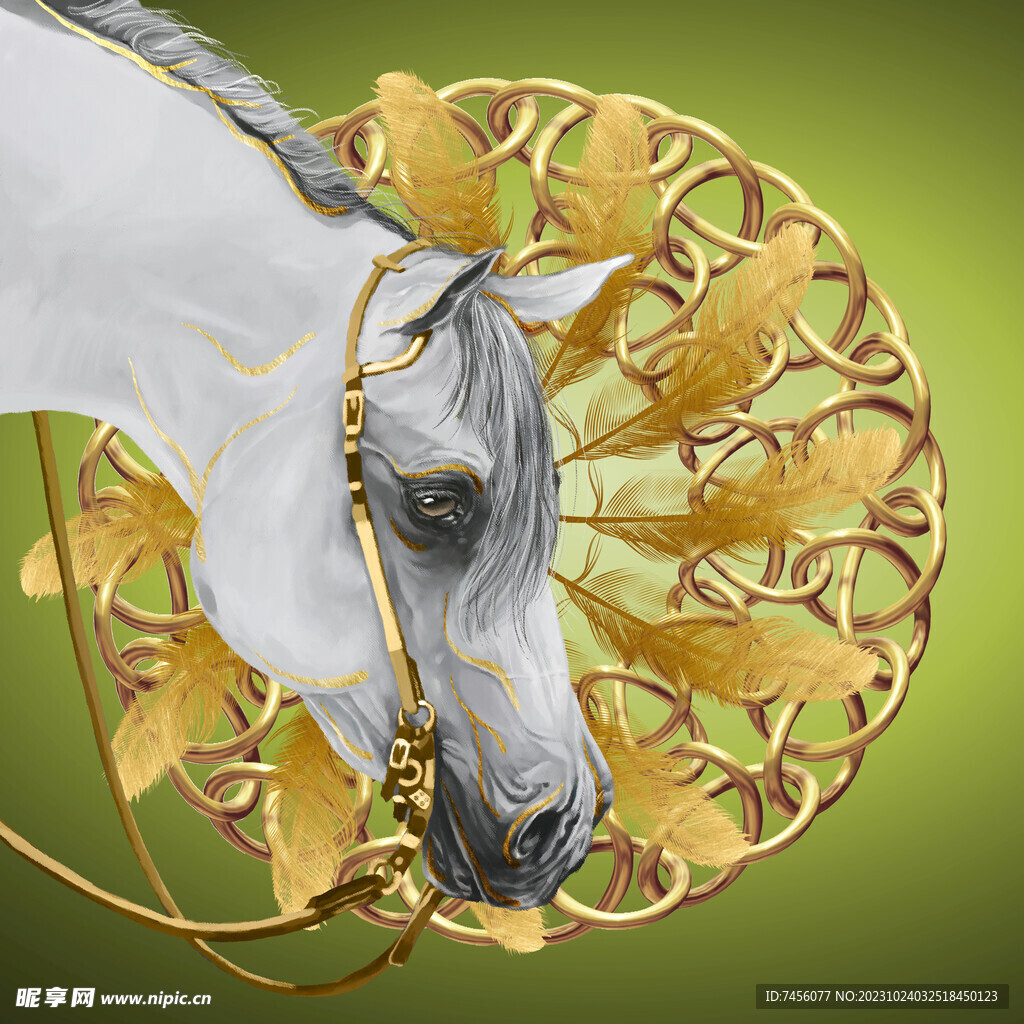 白色骏马羽毛挂画装饰画