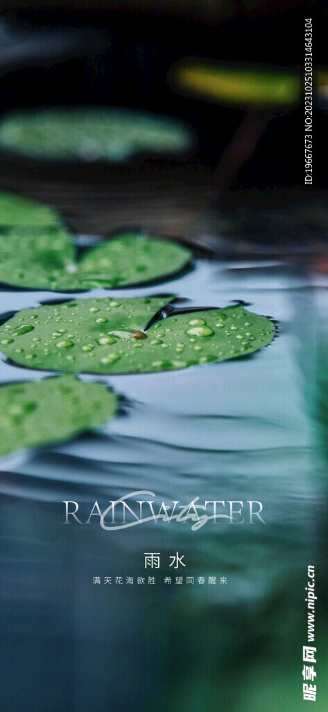 雨水海报  