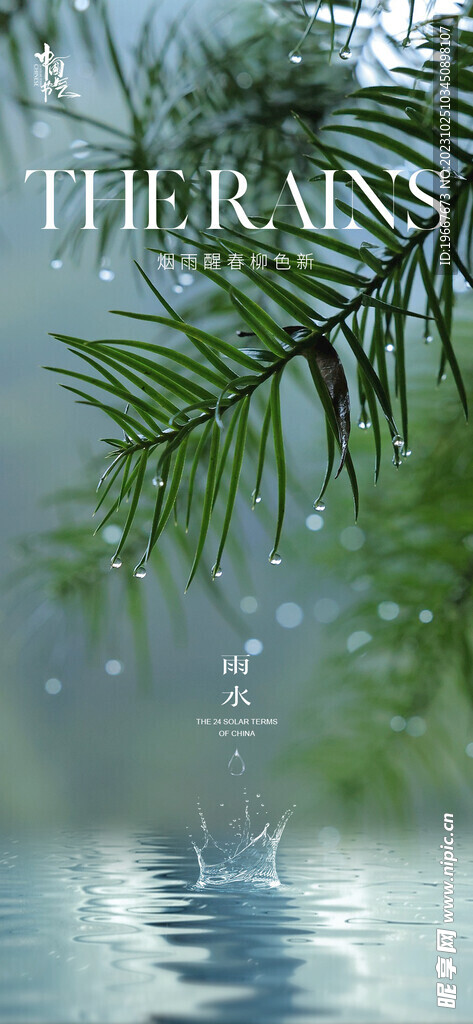 雨水海报  