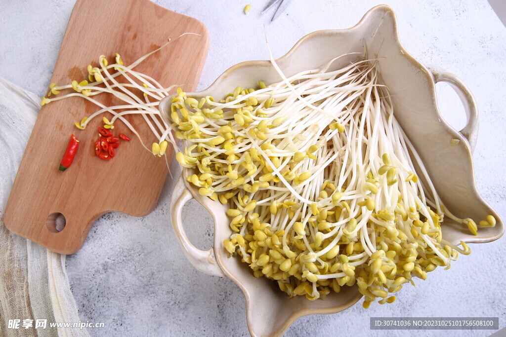 黄豆芽图片