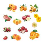 水果免抠分层素材