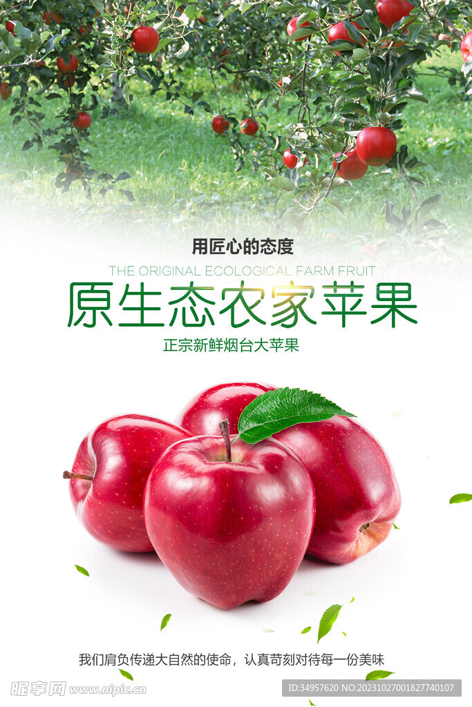 苹果海报