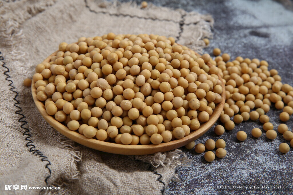 黄豆图片